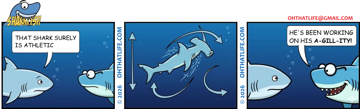 Sharklish - Agillity